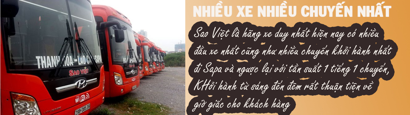 Hng xe Sao Việt c nhiều chuyến, nhiều xe nhất